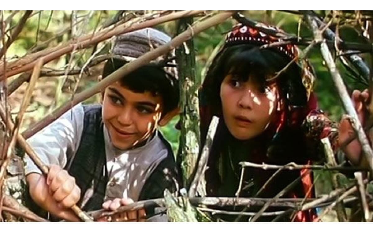 این بازیگر خردسال سریال در چشم باد فوت کرد ! + عکس و سرنوشت تلخ
