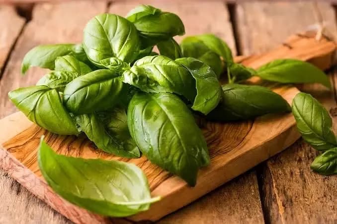 چگونه با سبزی محبوب فشار خون و کلسترول خود را مدیریت کنیم؟