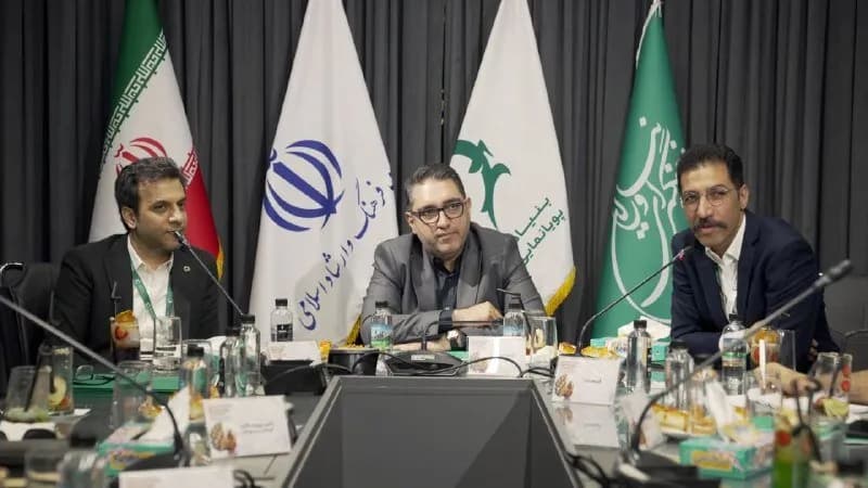 بازار ۲۵ میلیون دلاری انیمیشن ایران؛ چرا فقط ۲۰۰ هزار دلار ثبت شده است؟