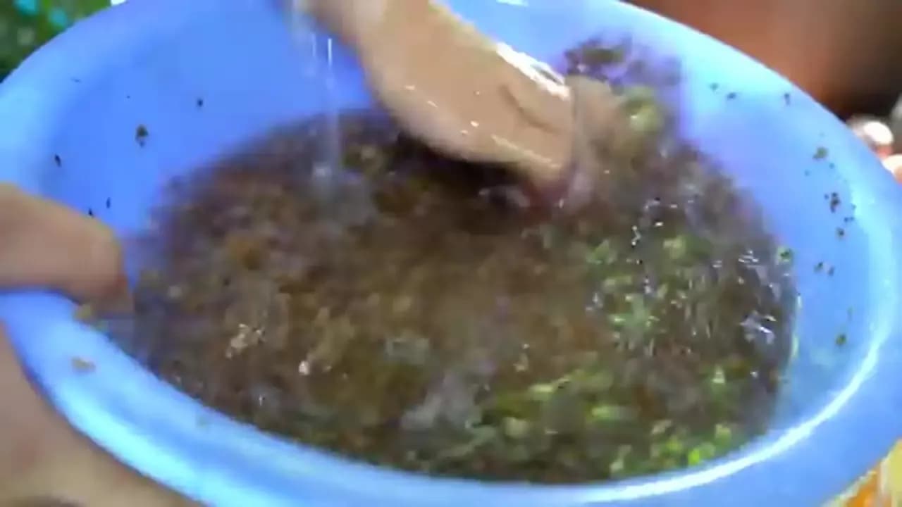 طرز تهیه غذای محلی کامبوجی؛ ترکیبی از سفره ماهی و ماهی باکرل
