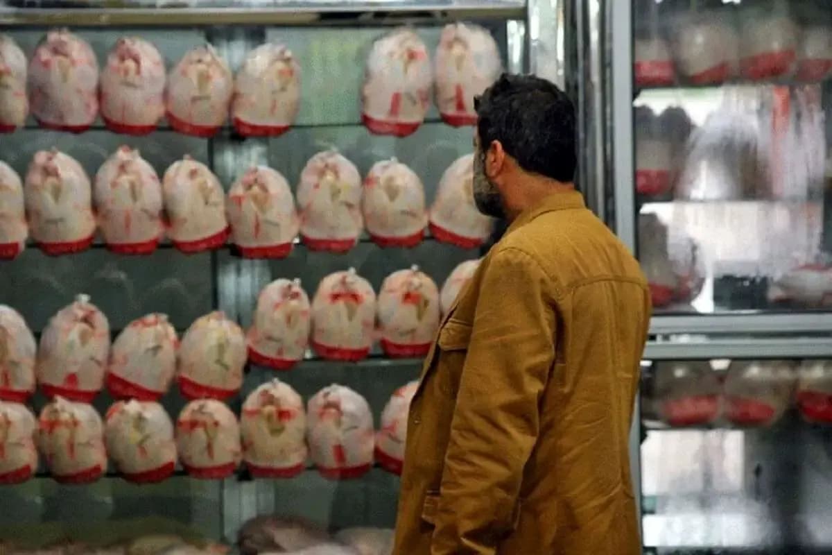 علت گران بودن قیمت مرغ برای خریداران چیست؟