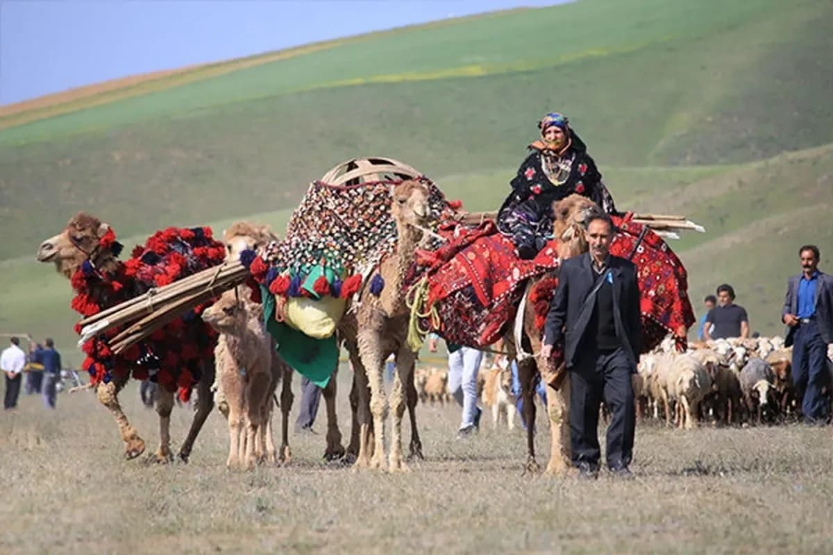 تصویر تاریخی کوچ ایل قشقایی از بوشهر به شیراز؛ سال ها پیش در سفر زمان