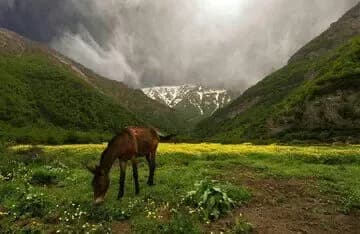 بهترین مکان های ایران برای فرار از گرما؛ از آبشارهای خنک تا دشت های مرتفع