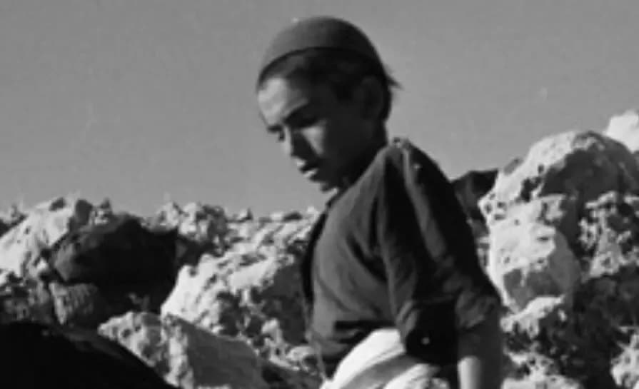 پسر چوپان و الاغهایش در مسیر کوهستان؛ نگاه به سال 43