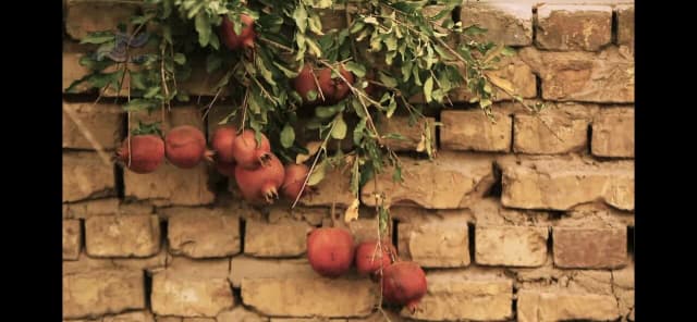 بررسی ایران؛ از احمدی نژاد تا تخلیه تهران و بحران خشکسالی