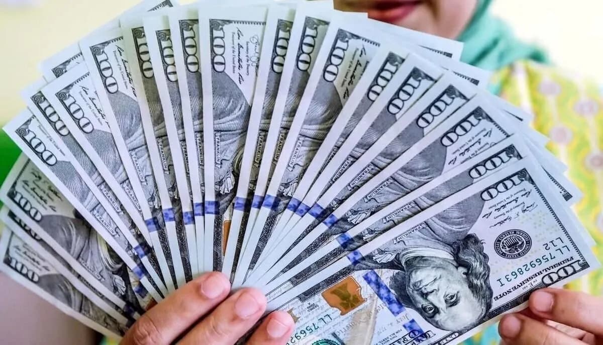 دلارهای بانک مرکزی در بازار؛ آیا قیمت دلار به کف میرسد؟