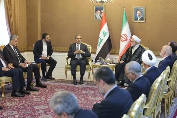 بازگشت 131 زندانی ایرانی از عراق به کشور با دستور محسنی اژه ای