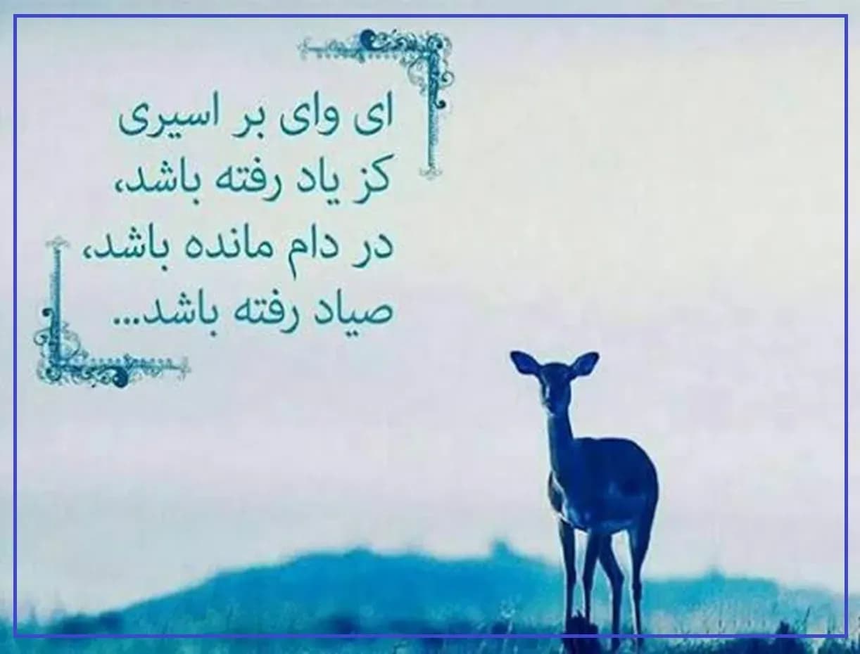حزین لاهیجی: شعری که نباید از یاد برود