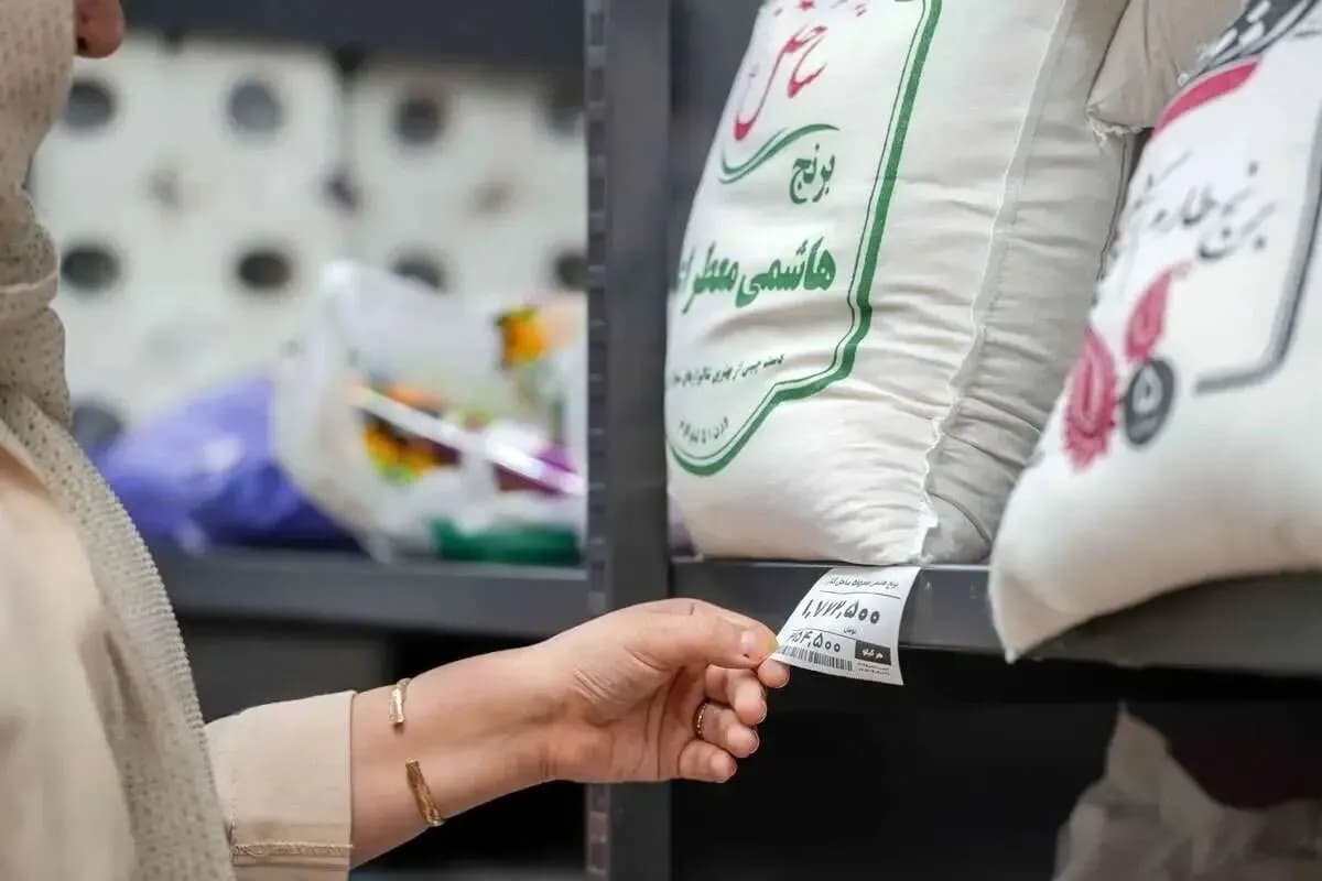 آخرین قیمت برنج ایرانی در بازار امروز
