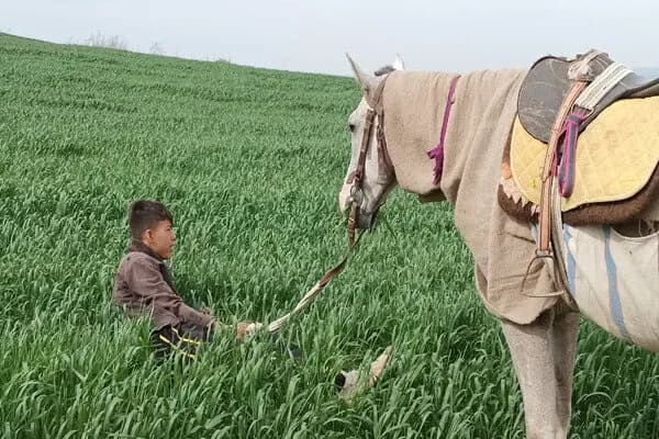 سینمای مستند؛ جدال سخت با چالش های اکران