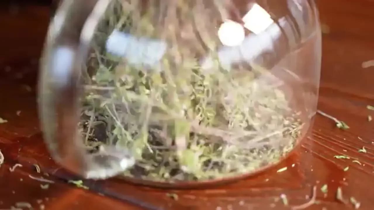 غذاهای روستایی روسیه؛ آشنایی با زوج آشپز خلاق داغستانی