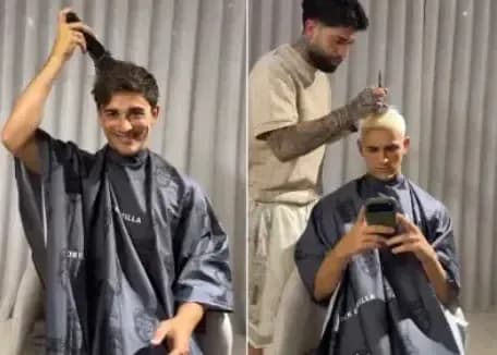 گاوی با موی صورتی؛ حیرت انگیزترین اتفاق سال! (عکس)