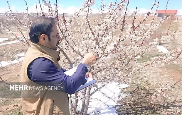 شروع برنامه مدیریت آفات در زیستگاههای مهم