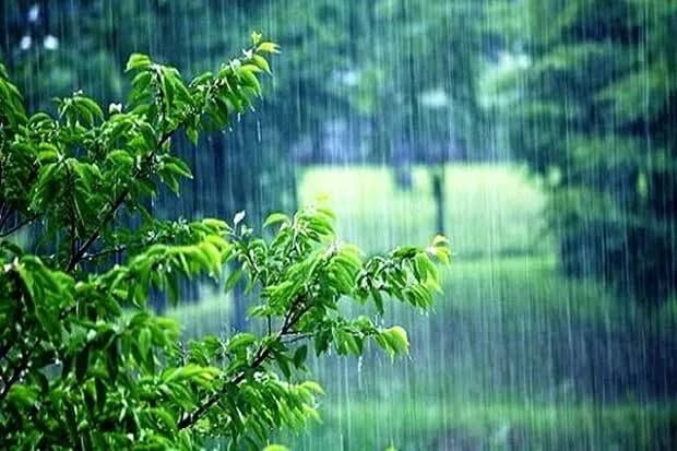 پیش بینی های هواشناسی و توصیه های مهم برای کشاورزان در 4 روز آینده