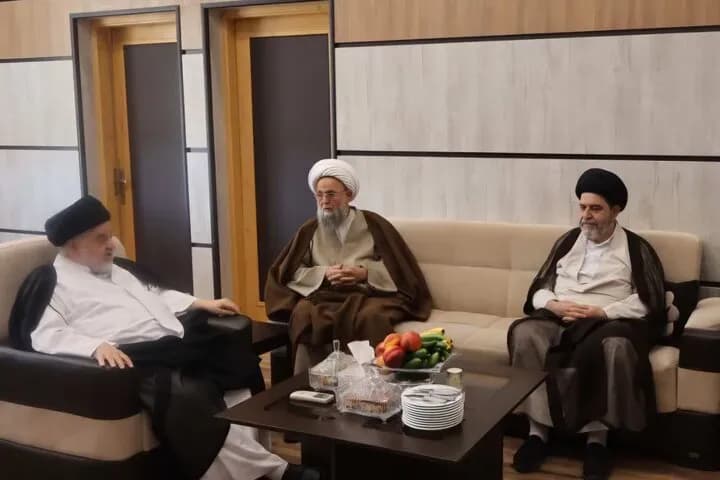 هشدار نماینده آیتالله سیستانی: مهاجرت نخبگان، چالشی بزرگ برای کشور
