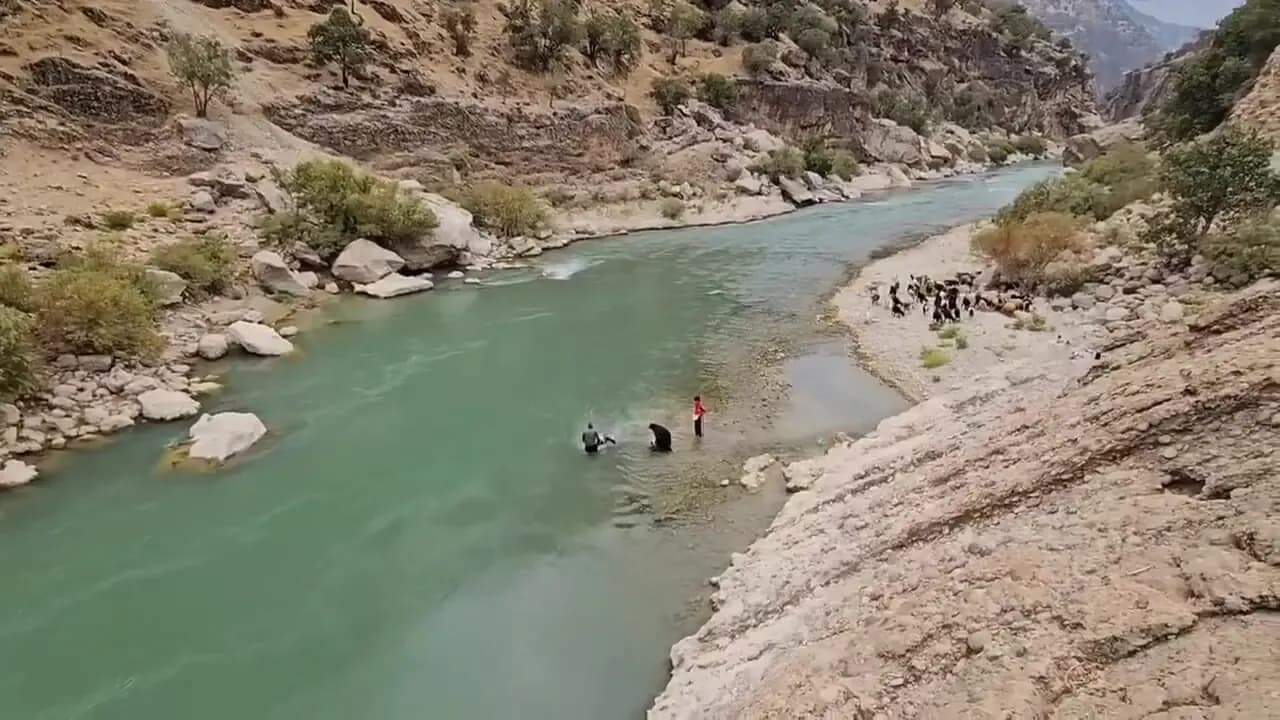 شیرجه دیدنی مرد بختیاری برای تمیز کردن گوسفندان