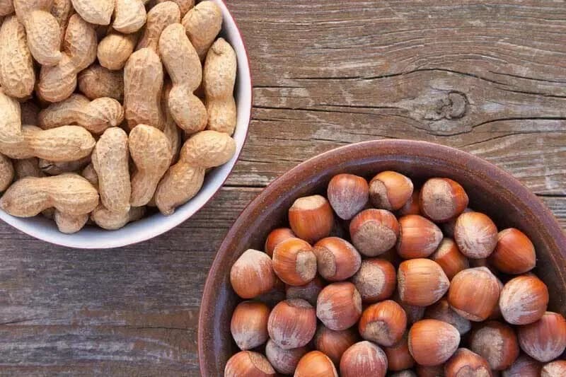 عکس جذاب؛ نیکی نصیریان پس از 18 سال از بزنگاه در 23 سالگی