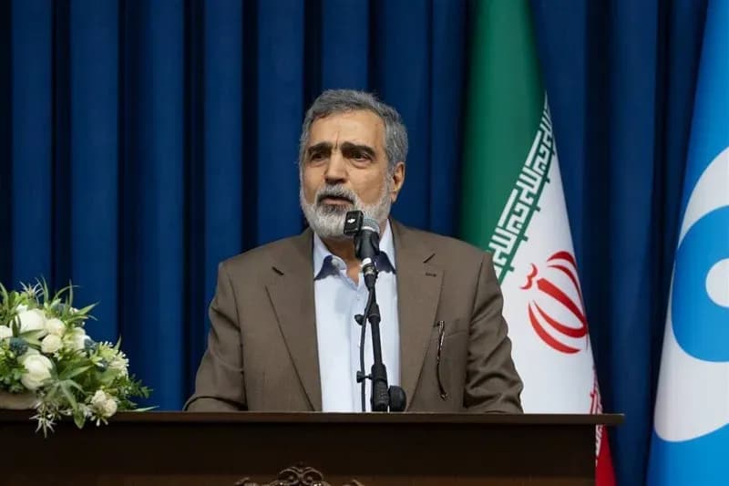 کمالوندی: ایران گزینه های زیادی برای دفاع از خود دارد