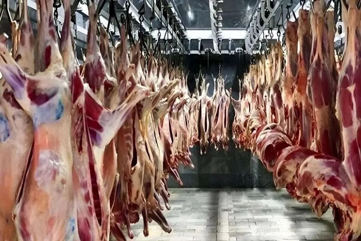 قیمت گوشت قرمز امروز ۲۷ شهریور ۱۴۰۵؛ ران گوساله و گوسفندی کیلویی چند شد؟