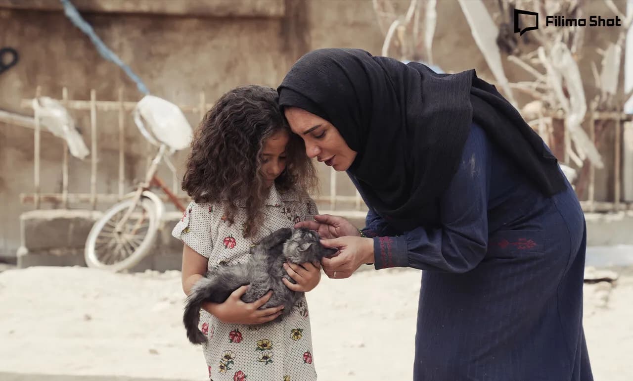 آغاز اکران بی سروصدای «دانه های انگور» و «سرزمین فرشته ها» از امروز؛ شانس حضور در اسکار چقدر است؟