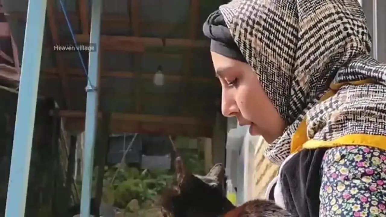 ببینید؛ غذای روستایی در ایران با پلو، مرغ سوخاری و سیب زمینی سرخ کرده