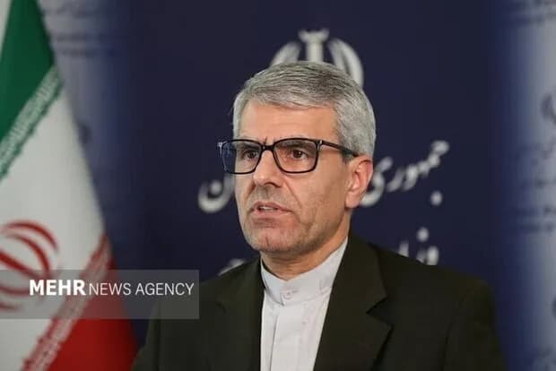 بقائی: تاریخ گاهی رفتگان را بیشتر از زندگان به یاد می آورد
