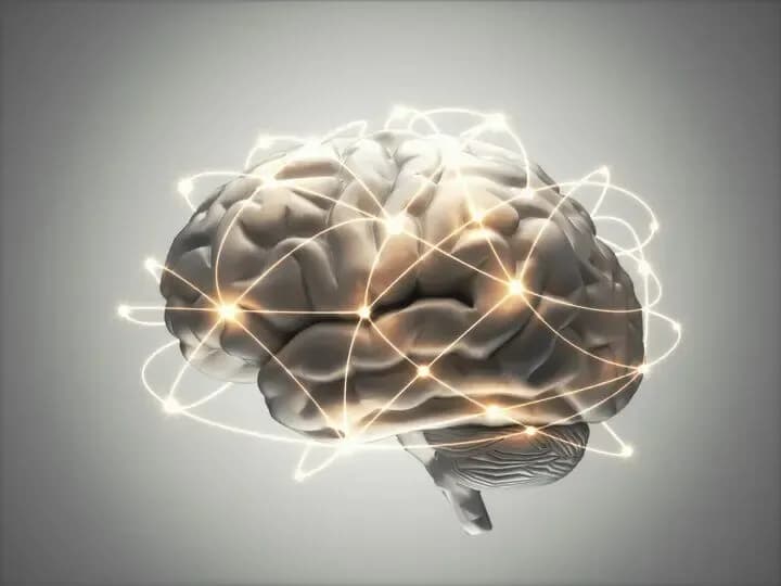 نتایج پژوهش جدید: کمبود ویتامین B۱۲ چگونه به مغز آسیب می زند؟