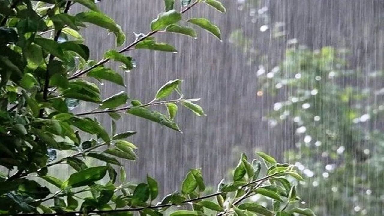 آسمان فارس در تب و تاب؛ هشدار هواشناسی درباره افزایش دما