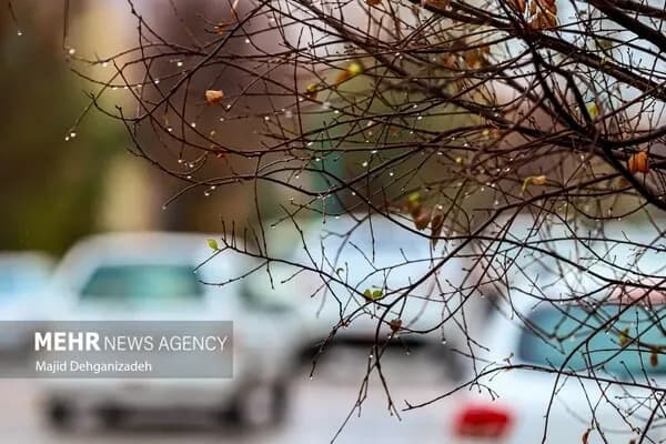 وزش باد لحظه ای و کاهش کیفیت هوا در چهارمحال و بختیاری؛ هشدار به شهروندان