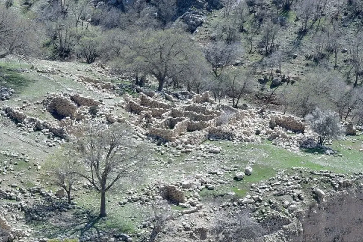 کشف روستای صفوی متروک در جنگل های استان فارس (+عکس)