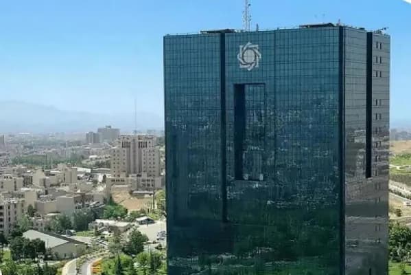 اختلال بانکی در خدمات مالی | بانک مرکزی چگونه شرکتهای ارائهدهنده خدمات را انتخاب میکند؟