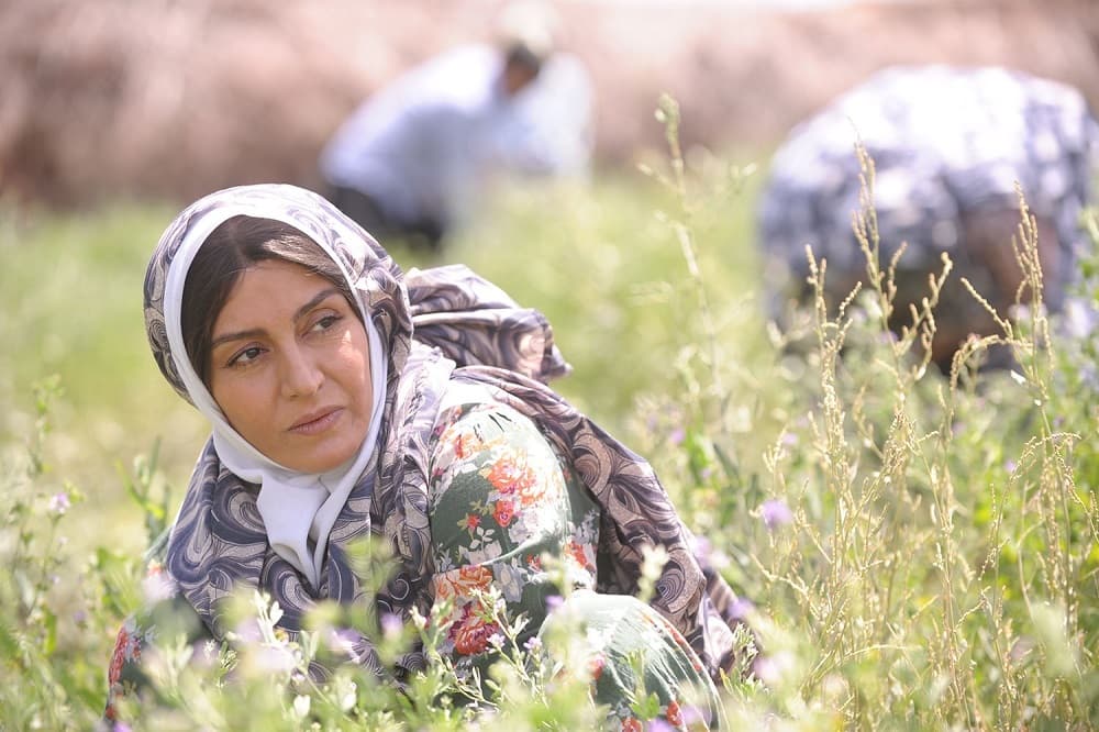 سورپرایز تلویزیونی: «شیار 143» بالاخره آبان روی آنتن میرود!